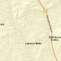 Zubrzyca Dolna Street Map