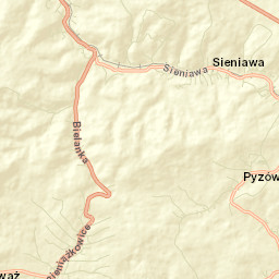 Sieniawa Street Map