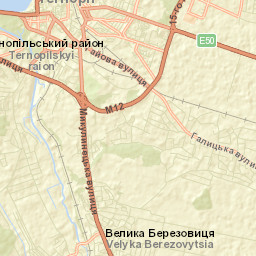 Ternopil Street Map