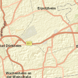 Ellerstadt Street Map