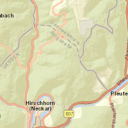 Hirschhorn Street Map