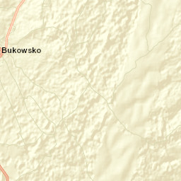 Bukowsko Street Map