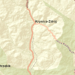 Krynica-Zdrój Street Map
