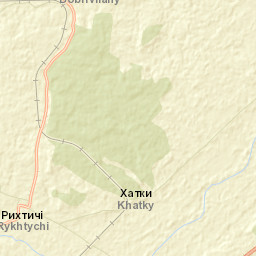 Rykhtychi Street Map