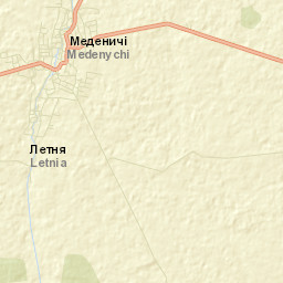 Medenychi Street Map