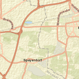 Lachen-Speyerdorf Street Map