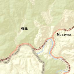 Muszyna Street Map