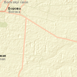 Borova Street Map