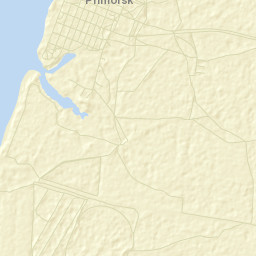 Primorsk Street Map