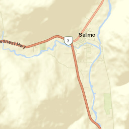 Salmo Street Map