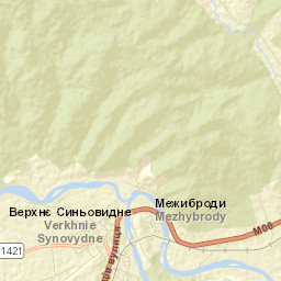 Verkhnie Synevydne Street Map