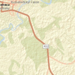 Kobeliaky Street Map