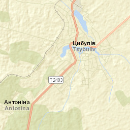 Tsibulev Street Map