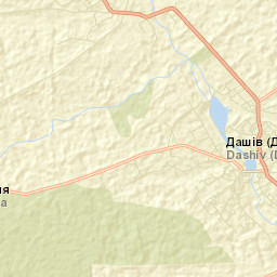 Dashiv Street Map