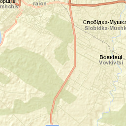 Borshchiv Street Map