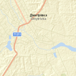 Dmytrivka Street Map