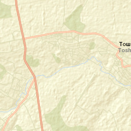Toshkivka Street Map