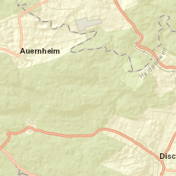 Dischingen Street Map