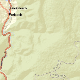 Forbach Street Map