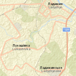 Ladyzhyn Street Map