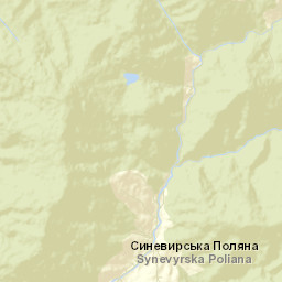 Synevyrska Poliana Street Map