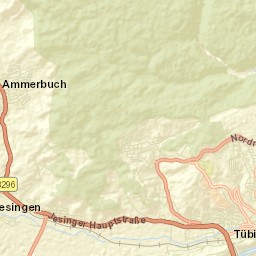 Tübingen Street Map