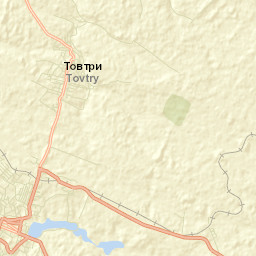 Zastavna Street Map