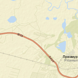 Priamurskiy Street Map