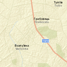 Chernivets’kyy Rayon Street Map