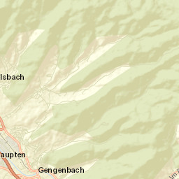Gengenbach Street Map