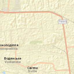 Dobropillia Raion Street Map