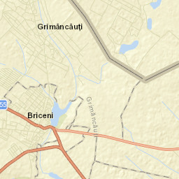 Briceni Street Map