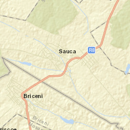 Briceni Street Map