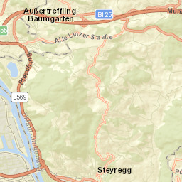 Plesching Street Map