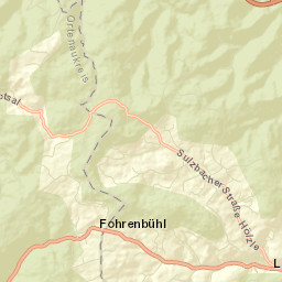 Lauterbach/Schwarzwald Street Map