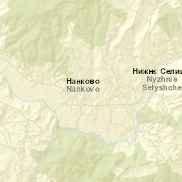 Nyzhnye Selyshche Street Map