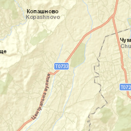 Kopashnovo Street Map