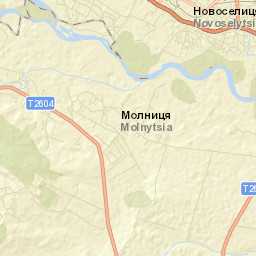 Novoselytsya Street Map