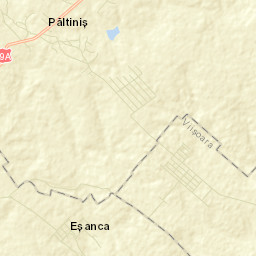 Păltiniş Street Map