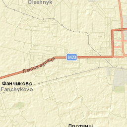Vynohradiv Street Map