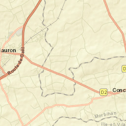 Mauron Street Map