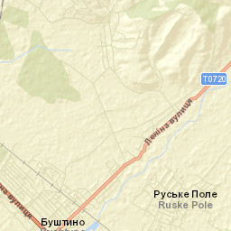 Bushtyno Street Map