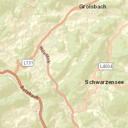 Altenmarkt an der Triesting Street Map