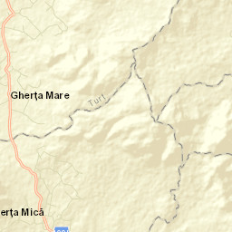 Turţ Street Map