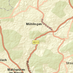 Mühlingen Street Map