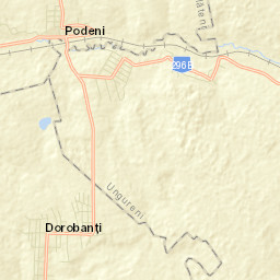 Dorobanți Street Map