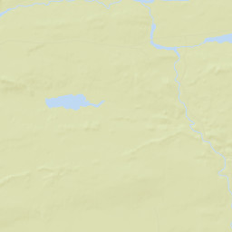 Cook County Street Map