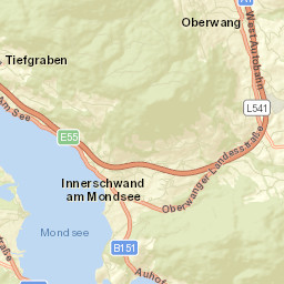 Oberwang Street Map