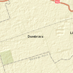 Dumbrava Street Map