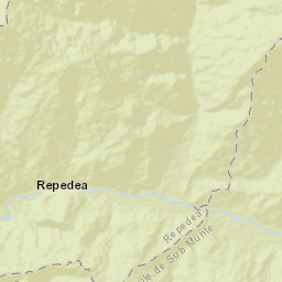 Repedea Street Map
